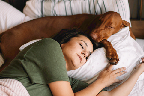 Sleeping with your dog hot sale bonding